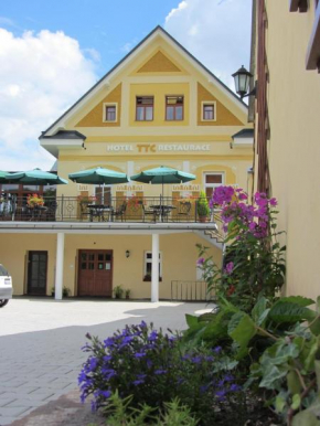 Отель Hotel TTC  Врхлаби